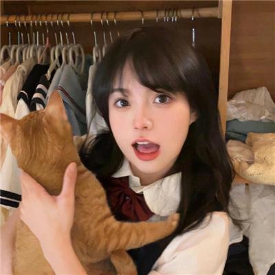 碧窗艳影